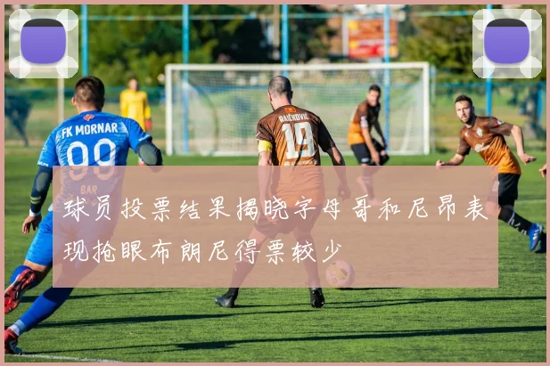 球员投票结果揭晓字母哥和尼昂表现抢眼布朗尼得票较少