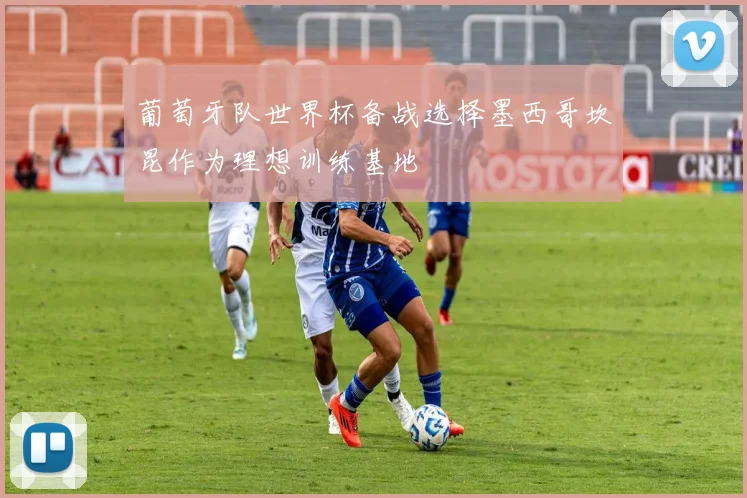 葡萄牙队世界杯备战选择墨西哥坎昆作为理想训练基地