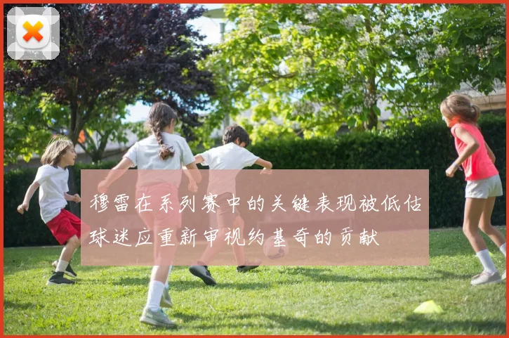 穆雷在系列赛中的关键表现被低估球迷应重新审视约基奇的贡献